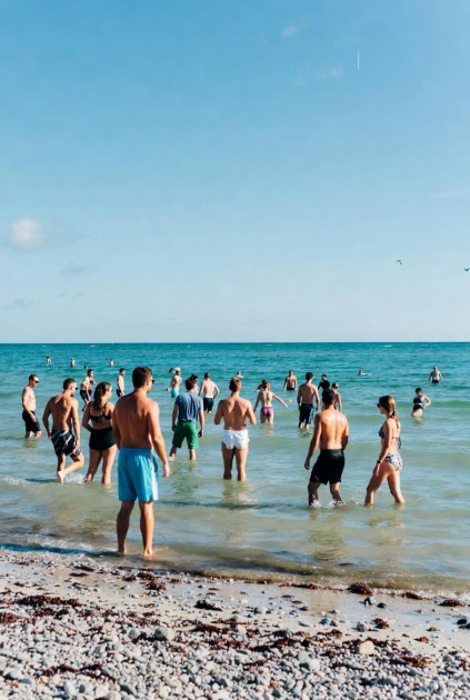45 Best Team Building Activities in Miami for Corporate Groups